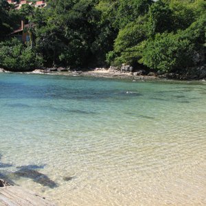 O que fazer em Bombinhas (SC): pontos turísticos e passeios