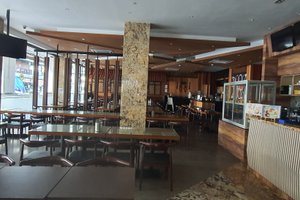 餐饮