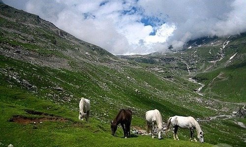 Sach pass