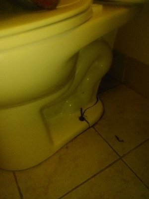 GAG! Why the tub would not drain, hair clog! - Picture of Red Roof Inn  Jacksonville - Cruise Port - Tripadvisor