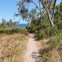 Barry Park Lookout