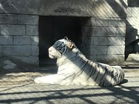 22年 東武動物公園 行く前に 見どころをチェック トリップアドバイザー