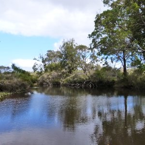 Looking down the river that runs behind the Olive Hill Farm..Rv campground its a short walk from the sites.