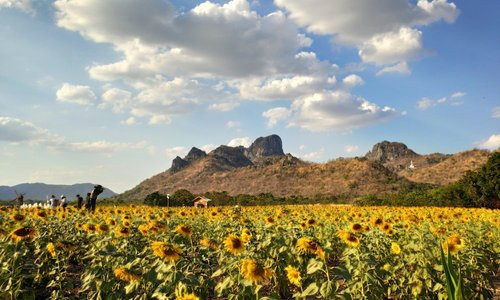 Lopburi Province 2023: Best Places to Visit - Tripadvisor