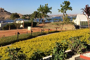 La chambre: avec chacun une veilleuse pour la lecture.. - Picture of  Movenpick Resort Aswan - Tripadvisor