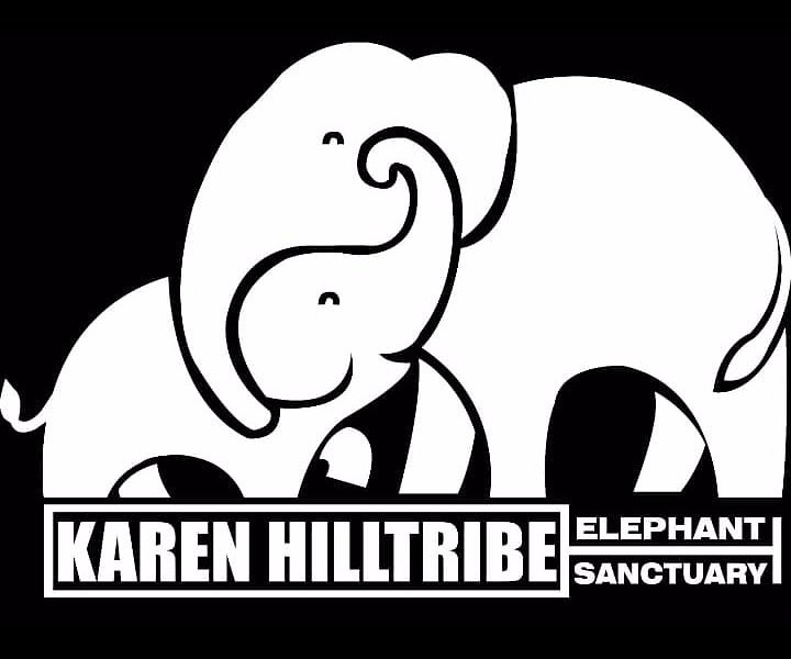 Karen Hilltribe Elephant Sanctuary image