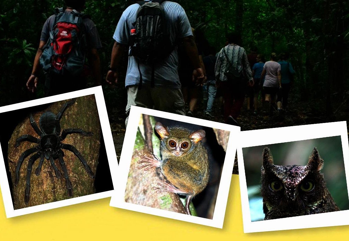 TANGKOKO GUIDE TOUR (Bitung): Ce qu'il faut savoir pour votre visite