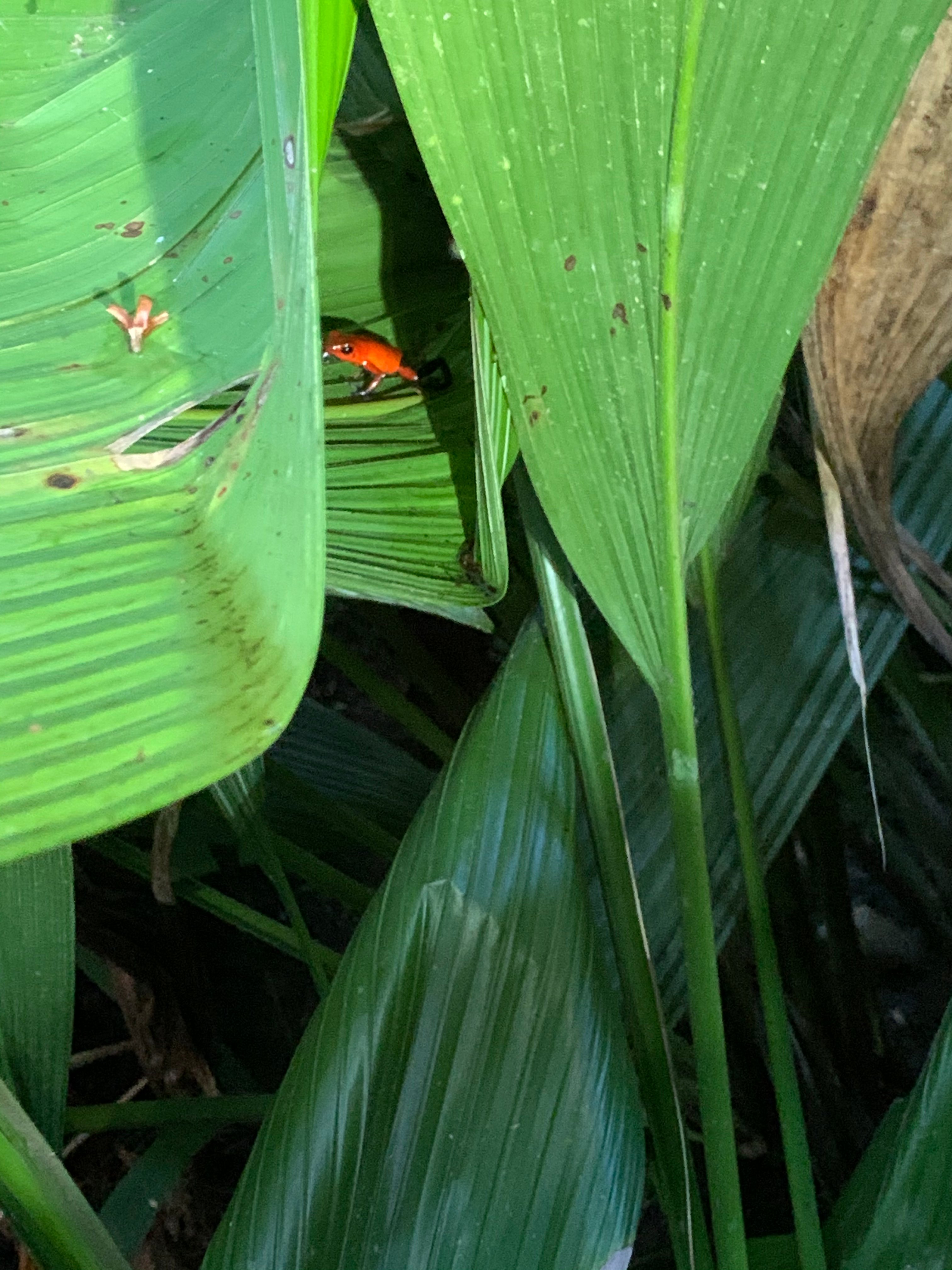 Costa Rica Rios (Turrialba) - ATUALIZADO 2022 O Que Saber Antes De Ir ...