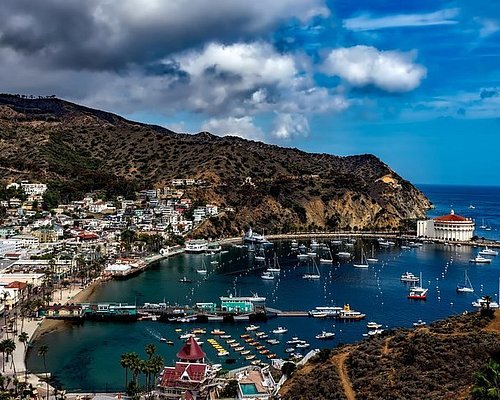 catalina private tours