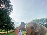 Samui Elephant Sanctuary - All You Need to Know BEFORE You Go (2024)