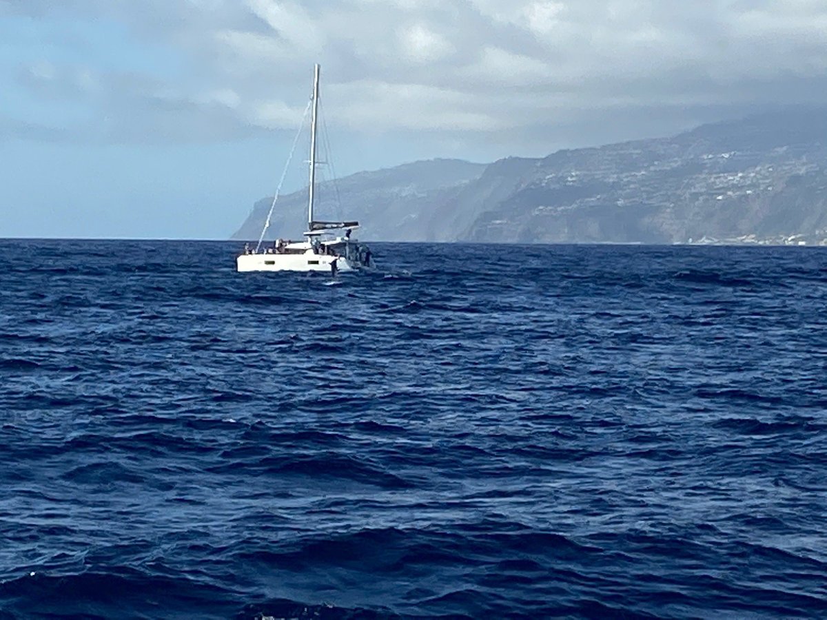 seaborn catamaran office at funchal marina