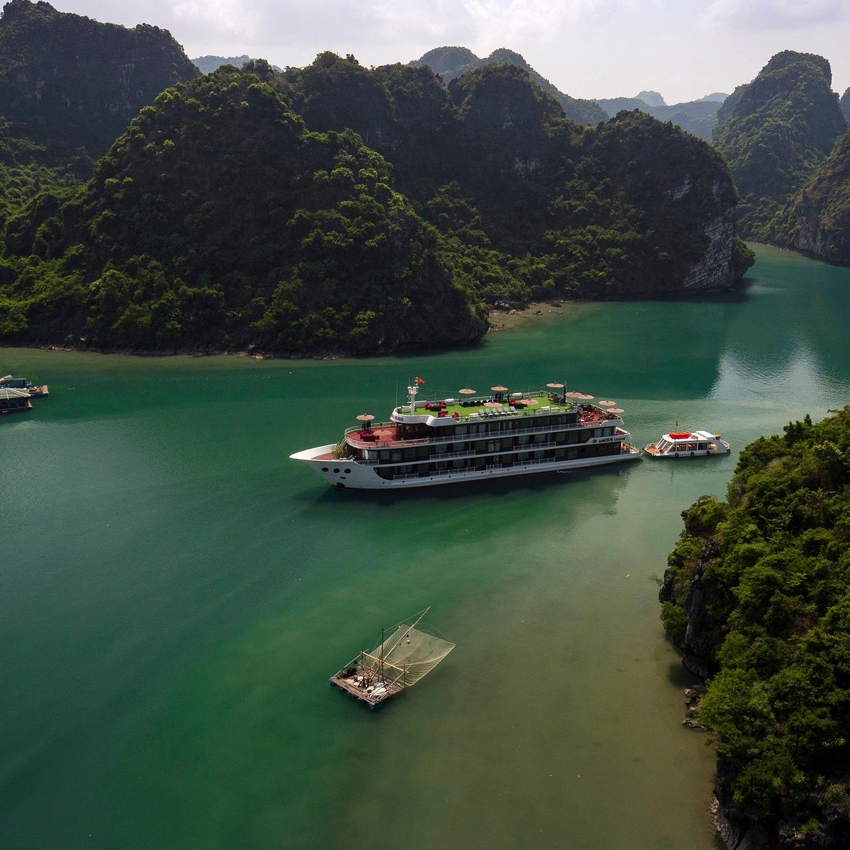 dora cruise halong bay tripadvisor