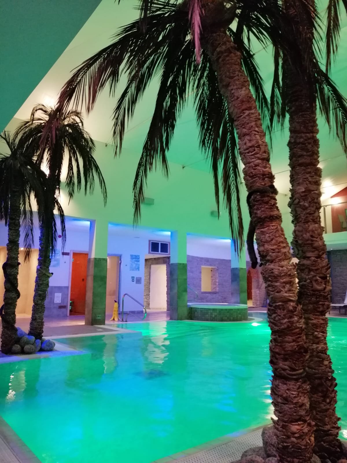 The Burton Hotel Pool Pictures Reviews Tripadvisor