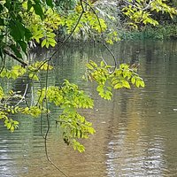 Broadwater Park