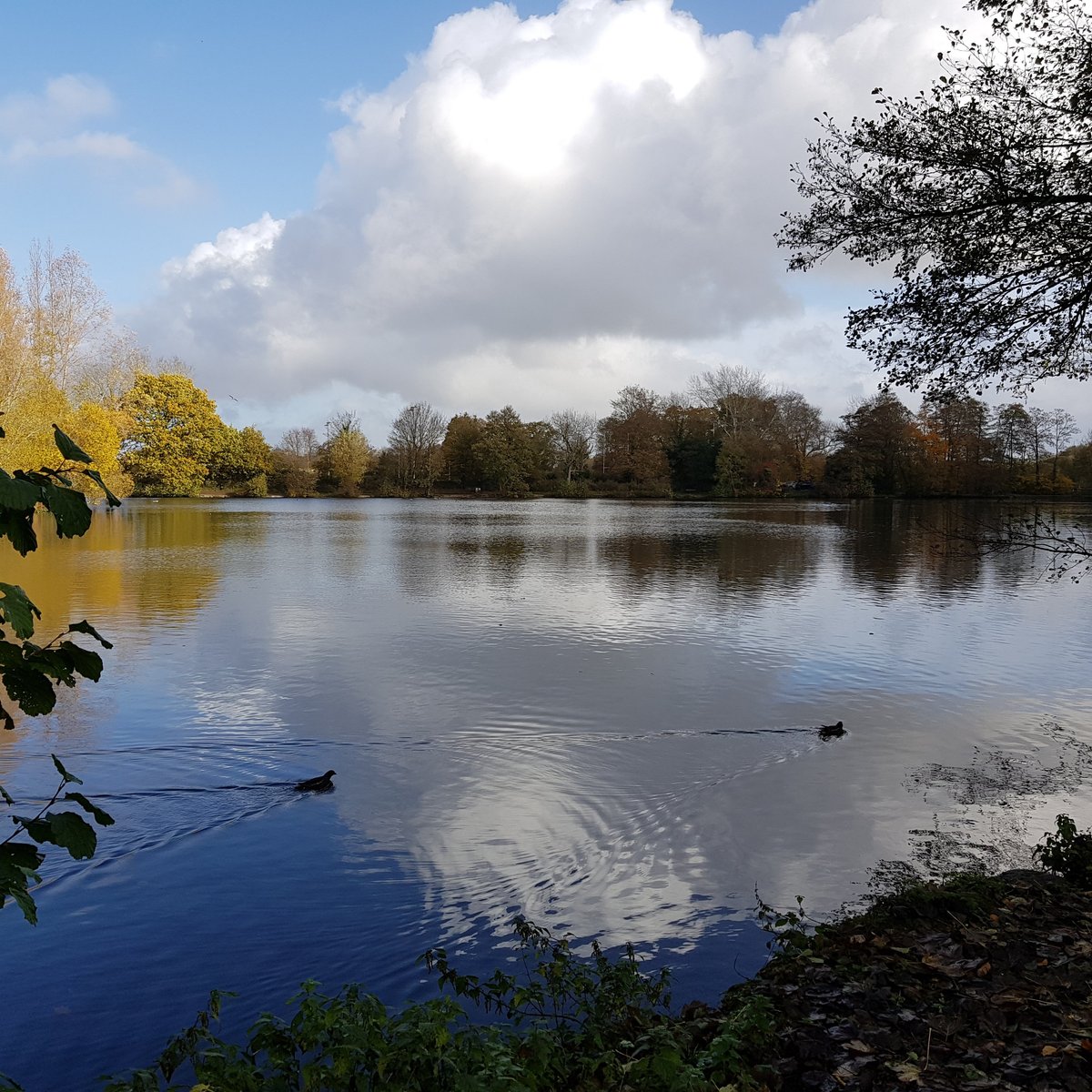 Broadwater Park (Godalming) 2022 Lohnt es sich? (Mit fotos)