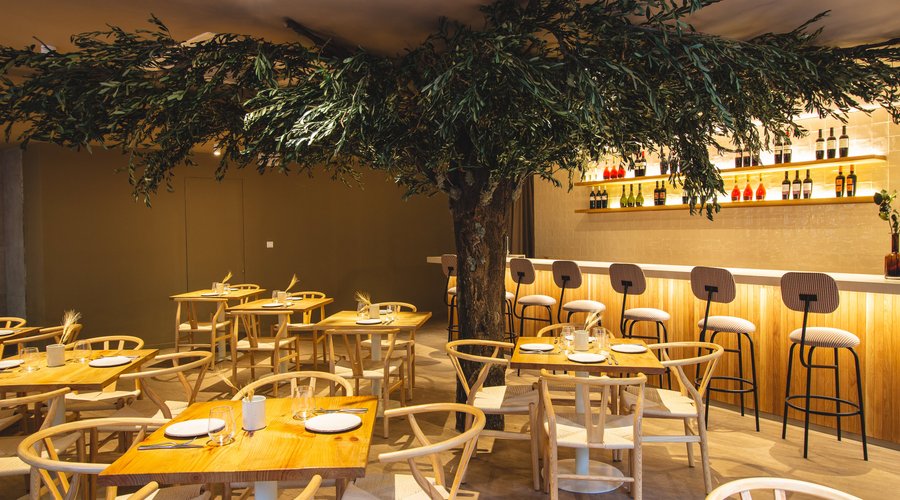 Lettera Trattoria Moderna_13