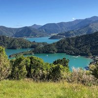 Queen Charlotte Track (Picton) - All You Need to Know BEFORE You Go