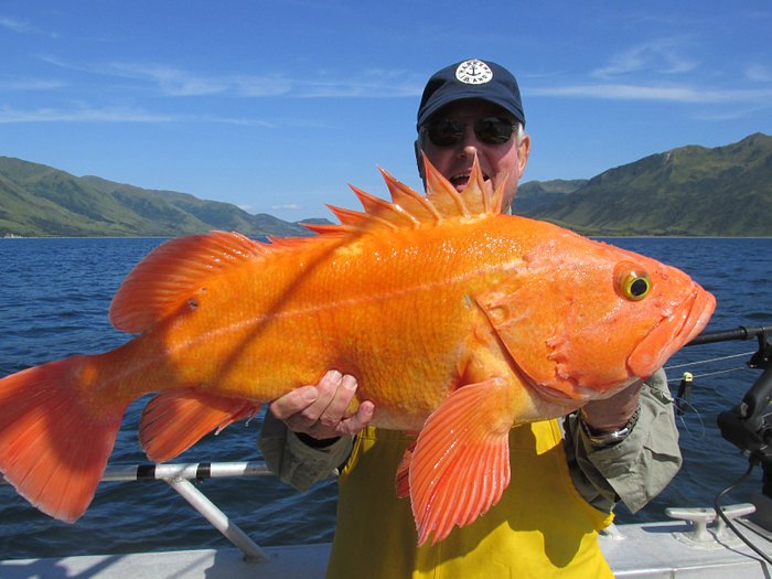 Winter lingcod action heats up - Brookings Fishing Reports