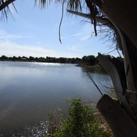 Pelican Island National Wildlife Refuge (Vero Beach) - All You Need to ...