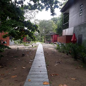 New sidewalk leading to showers and private bungalows