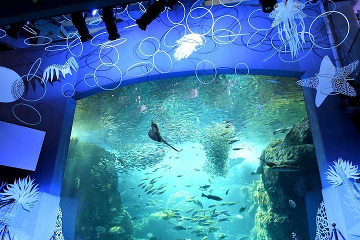 2023 Enoshima Aquarium Admission Ticket