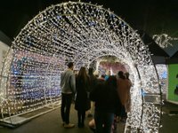 Aurora Winter Festival - All You Need to Know BEFORE You Go (with Photos)