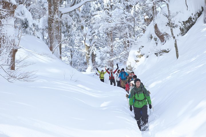 2024 Daisen Cho Snowshoe Tour Provided By Tripadvisor   Caption 