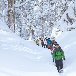 21年 大山町で絶対外さないおすすめ観光スポットトップ10 定番から穴場まで トリップアドバイザー