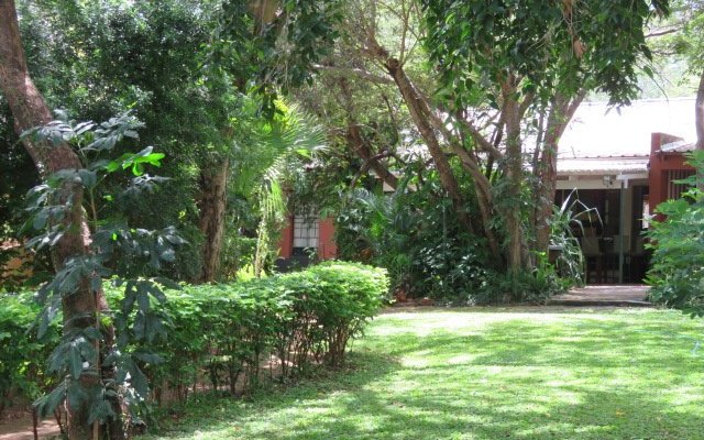 All our rooms look out onto the lush, leafy and shady tropical garden.