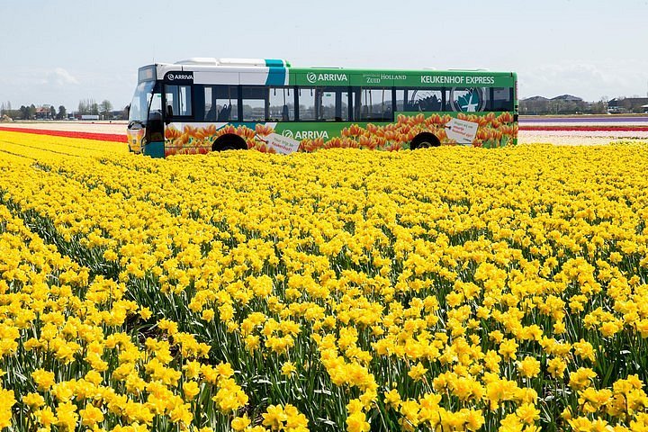 2023 Keukenhof Gardens & Public Transport from Schiphol Airport