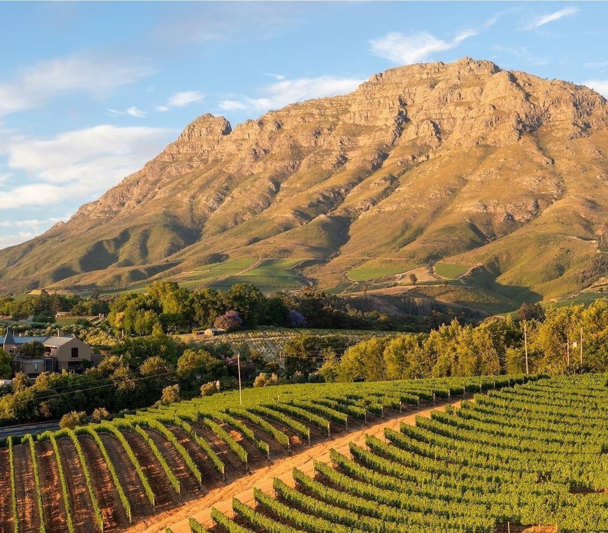 Entourage Cape Vineyards Tours (Cape Town Central, South Africa ...