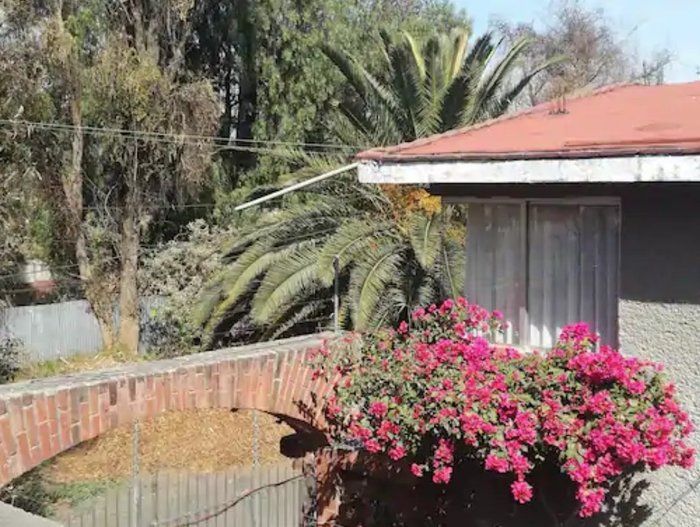 CASA DE HUESPEDES XOCHIMILCO - B&B Reviews (Mexico City)