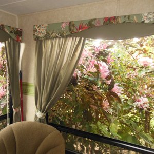 The view from inside my trailer.