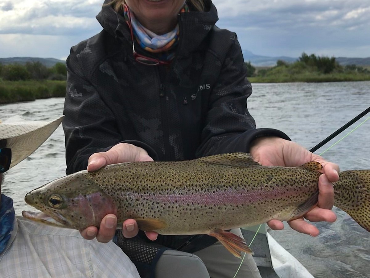 Montana Fish Man Outfitting  Madison River Guided_Fly Fishing_Ennis