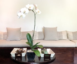 Kamar & Suite