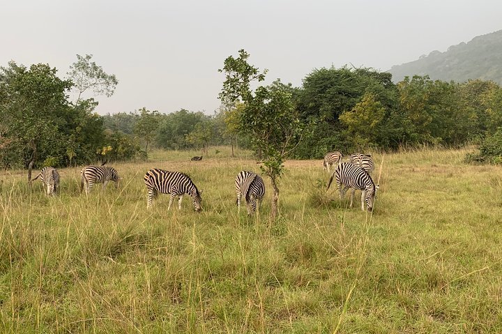 2024 Discover Nature at Shai Hills and Akosombo: Wild Animals, Caves ...