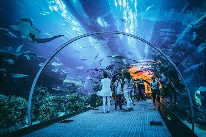 2024 (Sentosa Island) Skip the Line : S.E.A. Aquarium One Day Ticket only