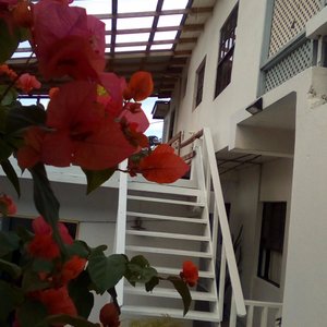 Stairs leading to upper sun deck.