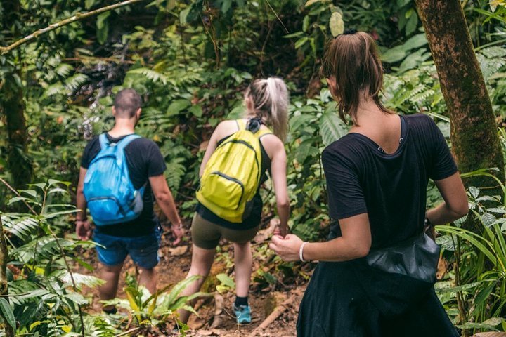 Jungle Trekking