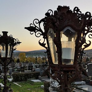 Wildlife Watching in Vienna Cemeteries