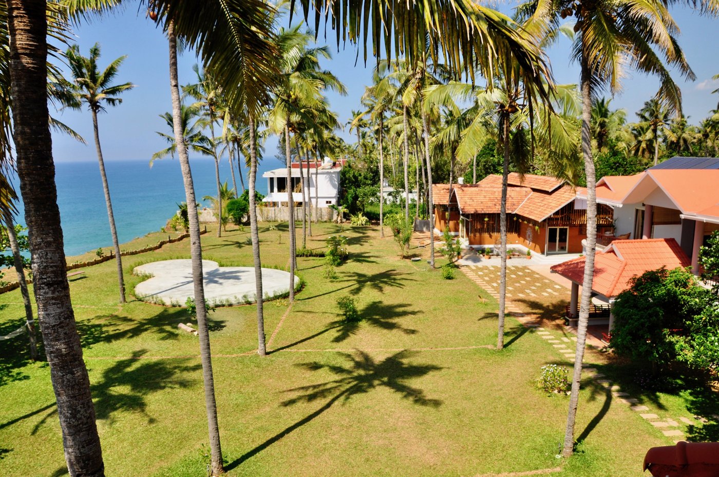 Pura Vida Review