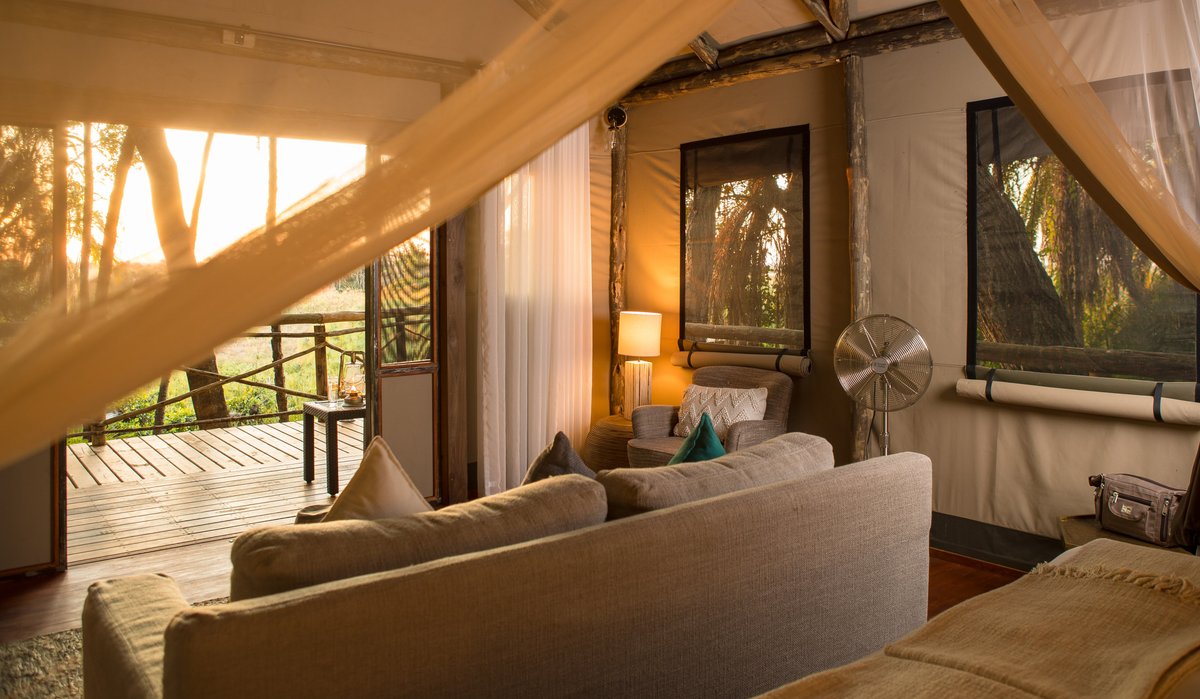 Setari and Kala Camps Rooms: Pictures & Reviews - Tripadvisor