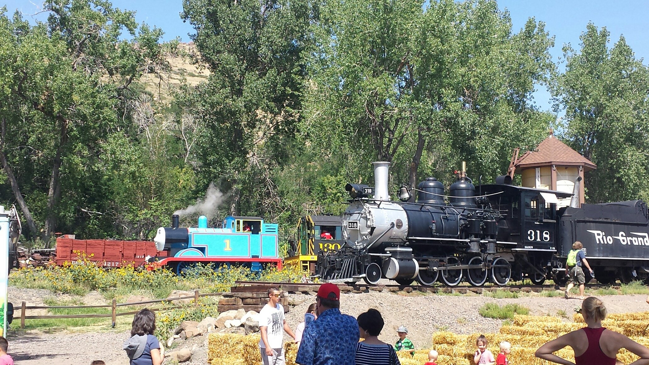 THE 15 BEST Things To Do In Golden 2024 Must See Attractions   Day Out With Thomas The 