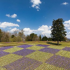 21年 山陰で絶対外さないおすすめ観光スポットトップ10 定番から穴場まで トリップアドバイザー 21年 山陰で絶対外さないおすすめ観光スポットトップ10 定番から穴場まで トリップアドバイザー