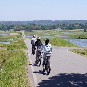 21年 大山町で絶対外さないおすすめ観光スポットトップ10 定番から穴場まで トリップアドバイザー