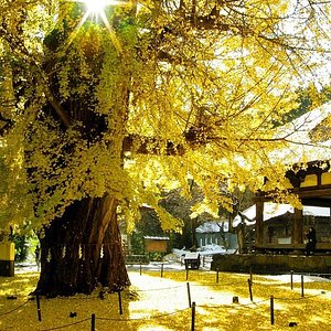 21年 喜多方市で絶対外さないおすすめ観光スポットトップ10 定番から穴場まで トリップアドバイザー 21年 喜多方市で絶対外さないおすすめ観光スポットトップ10 定番から穴場まで トリップアドバイザー