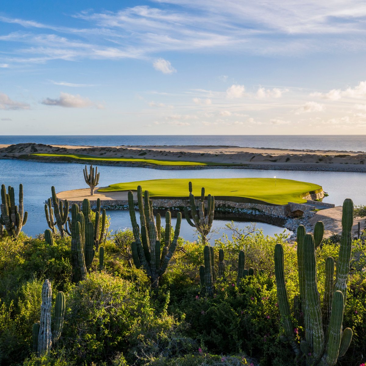 Rancho San Lucas Golf Club (Los Cabos) 2022 All You Need to Know