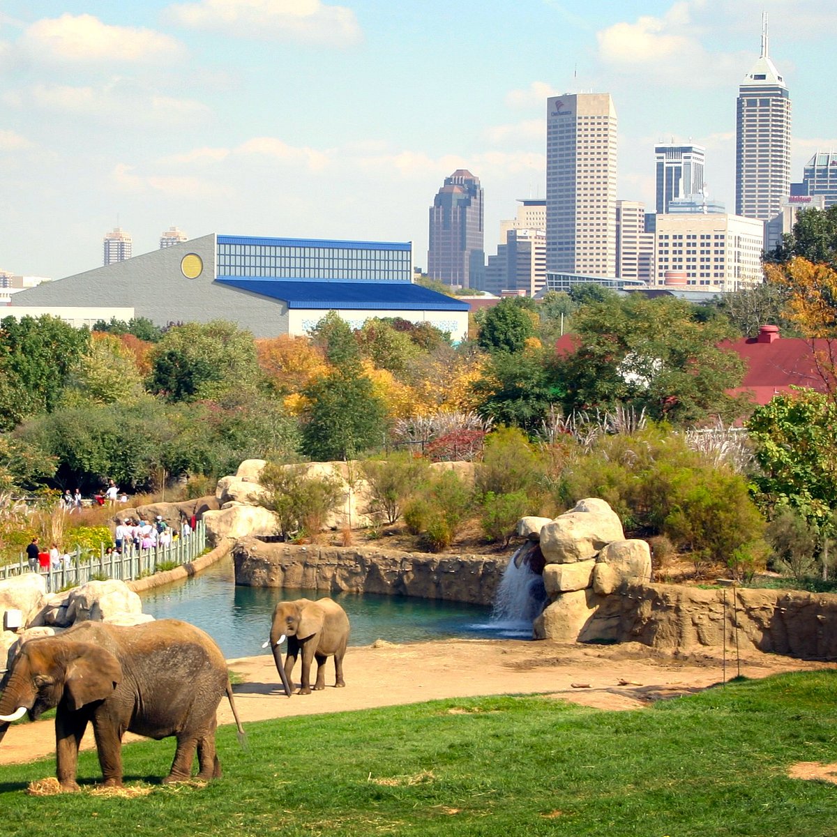 Indianapolis Zoo 2023 Alles wat u moet weten VOORDAT je gaat