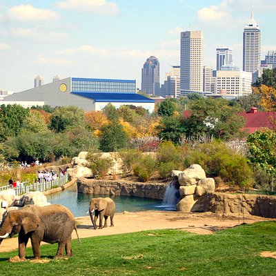 THE BEST Zoos & Aquariums in Indianapolis - InDianapolis Zoo