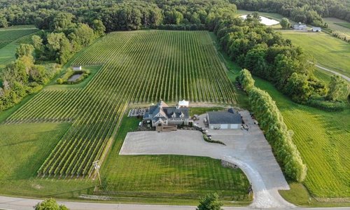 M Cellars family owned winery